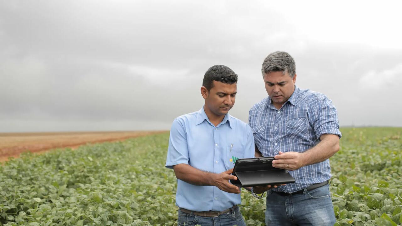 Plant experts in a soy field