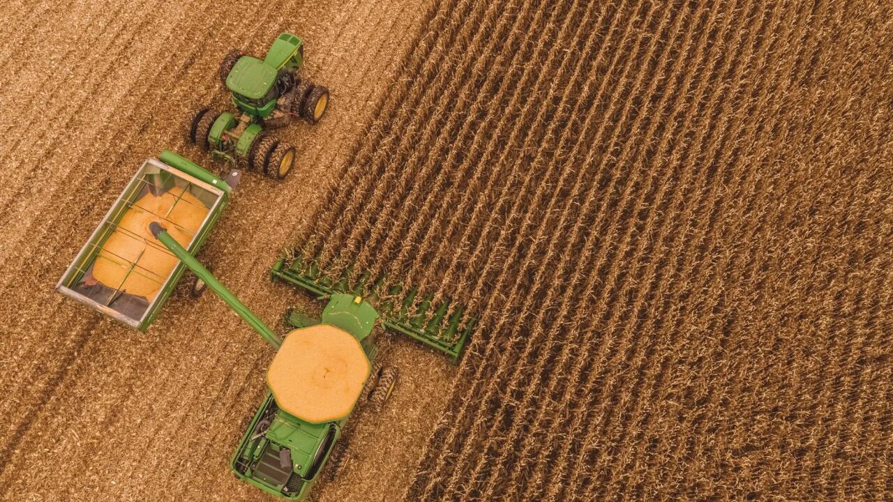 Harvester in corn field