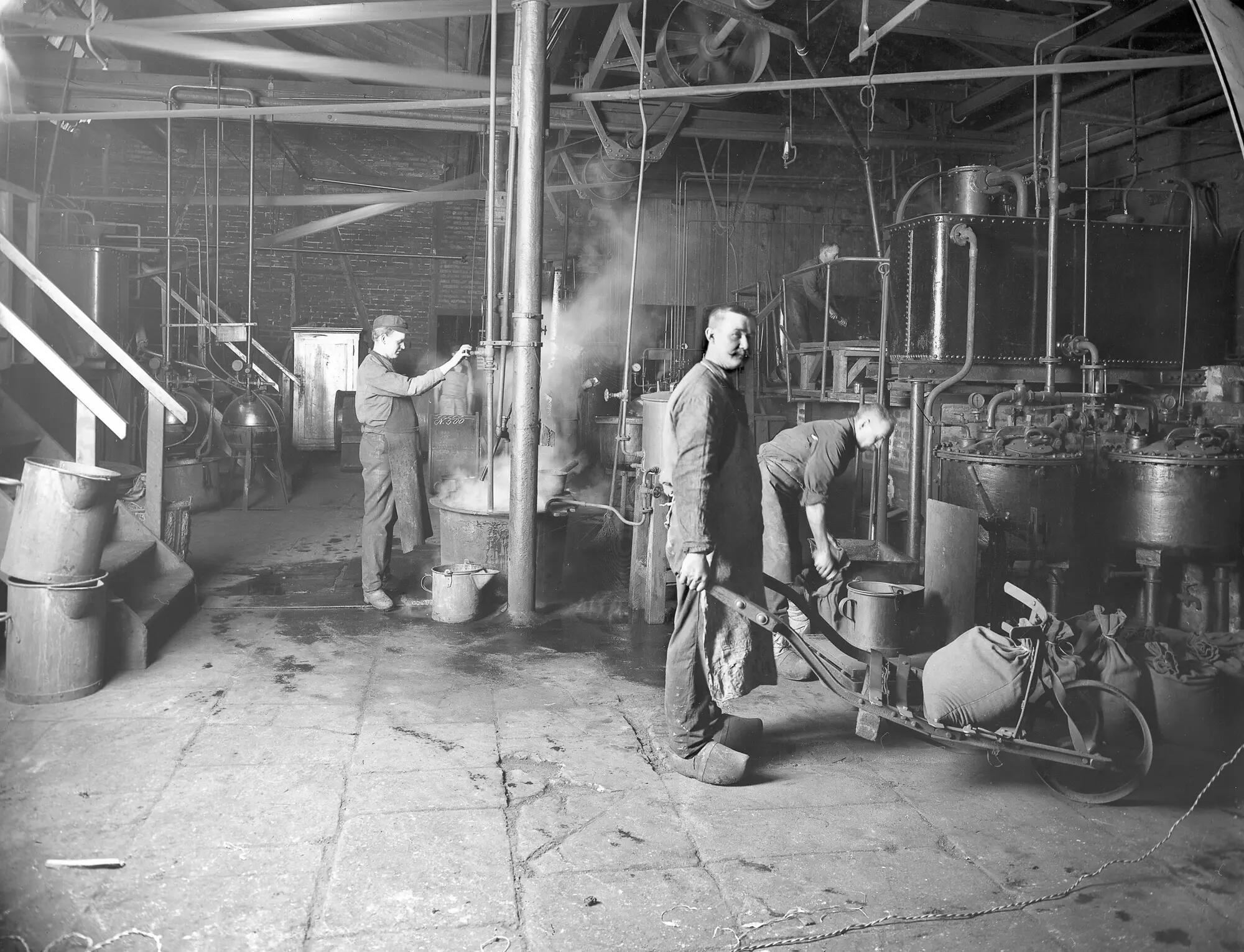 Bayer Media Visual Assets History & Culture Bayer Global