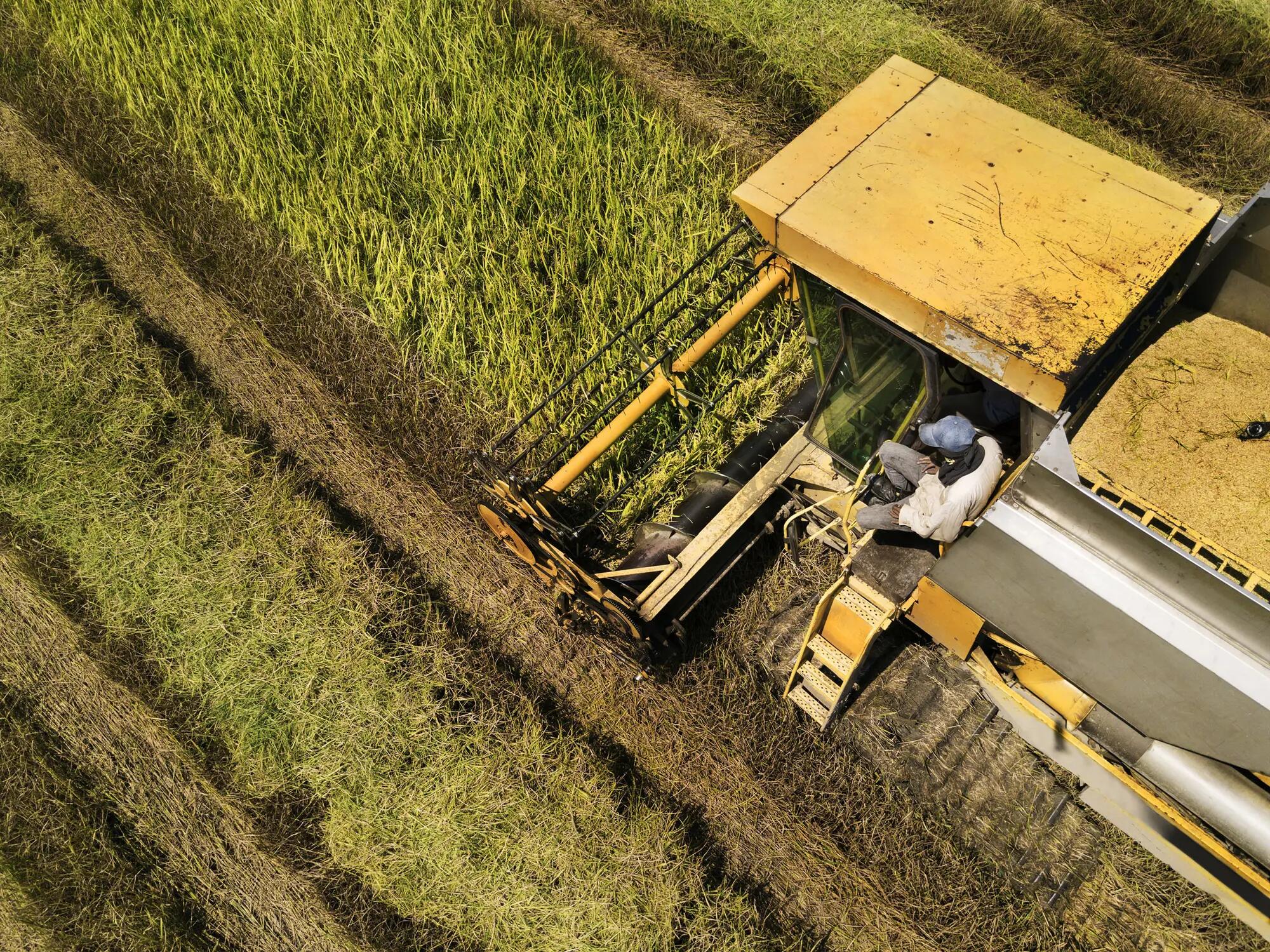 Sustainable agriculture