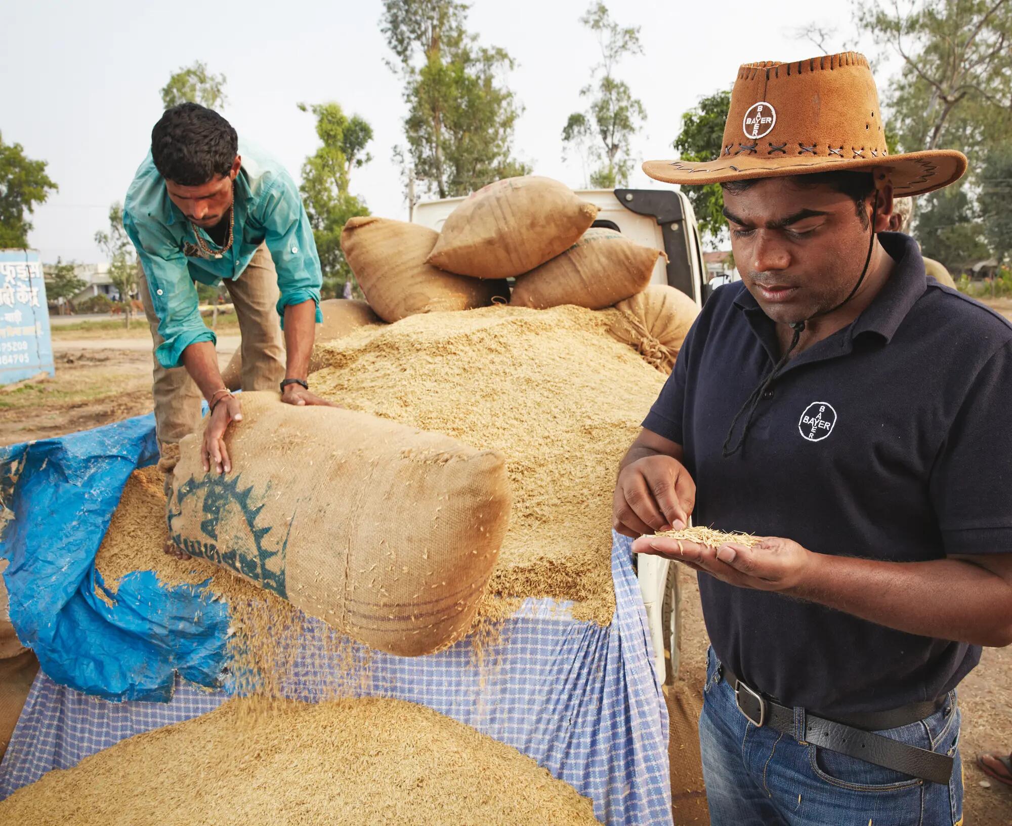 The bayer food chain partnership project