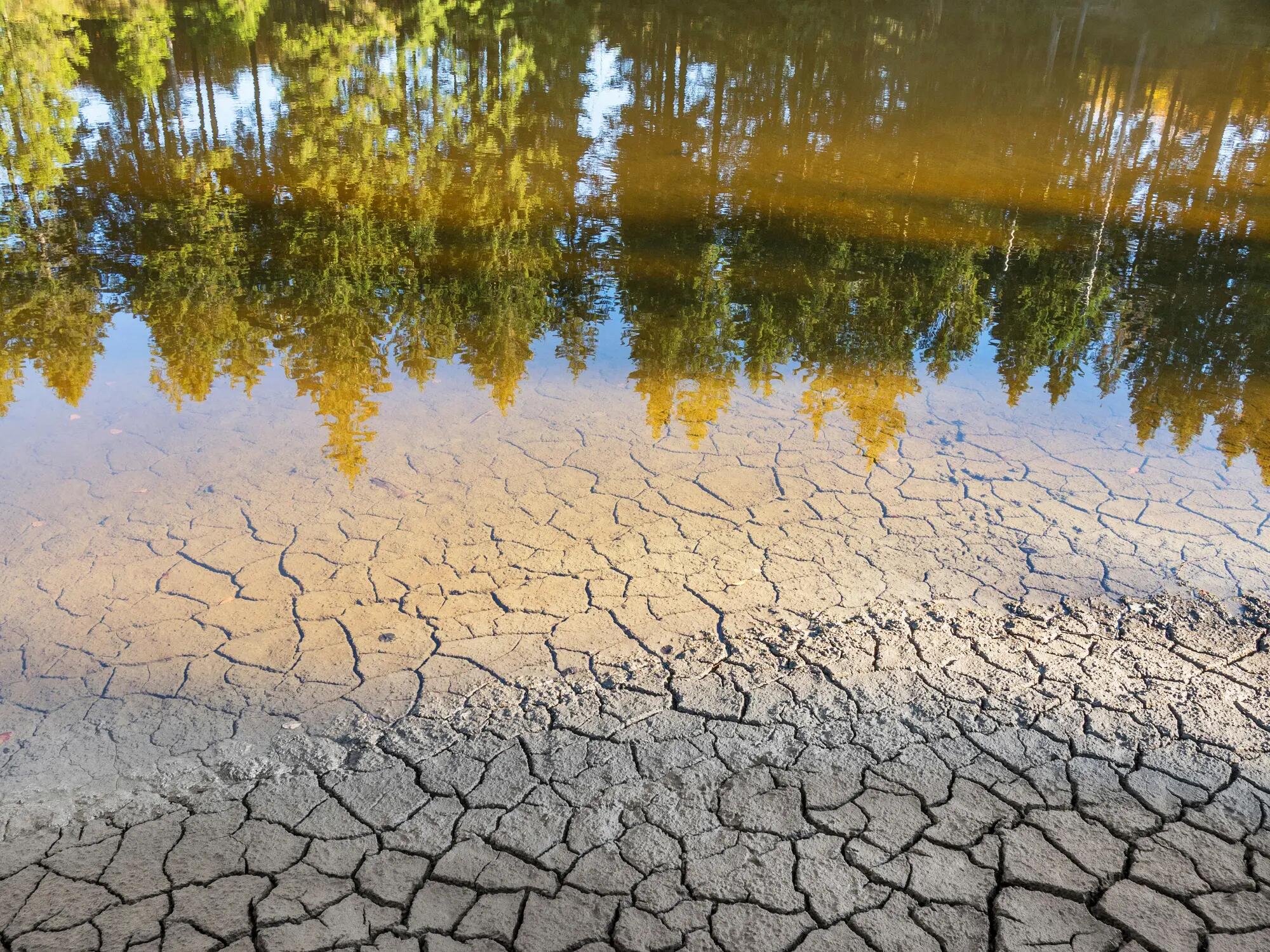 Receding lake