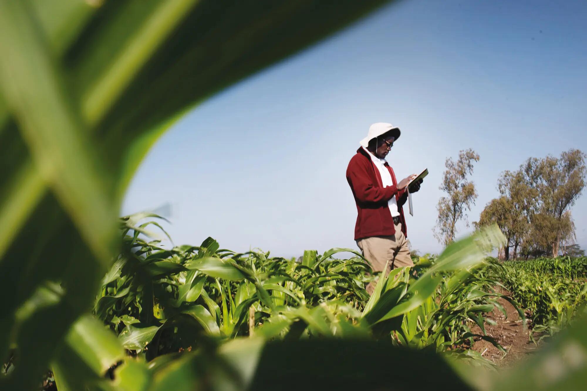 Bayer Media Visual Assets | Crop Science | Bayer Global