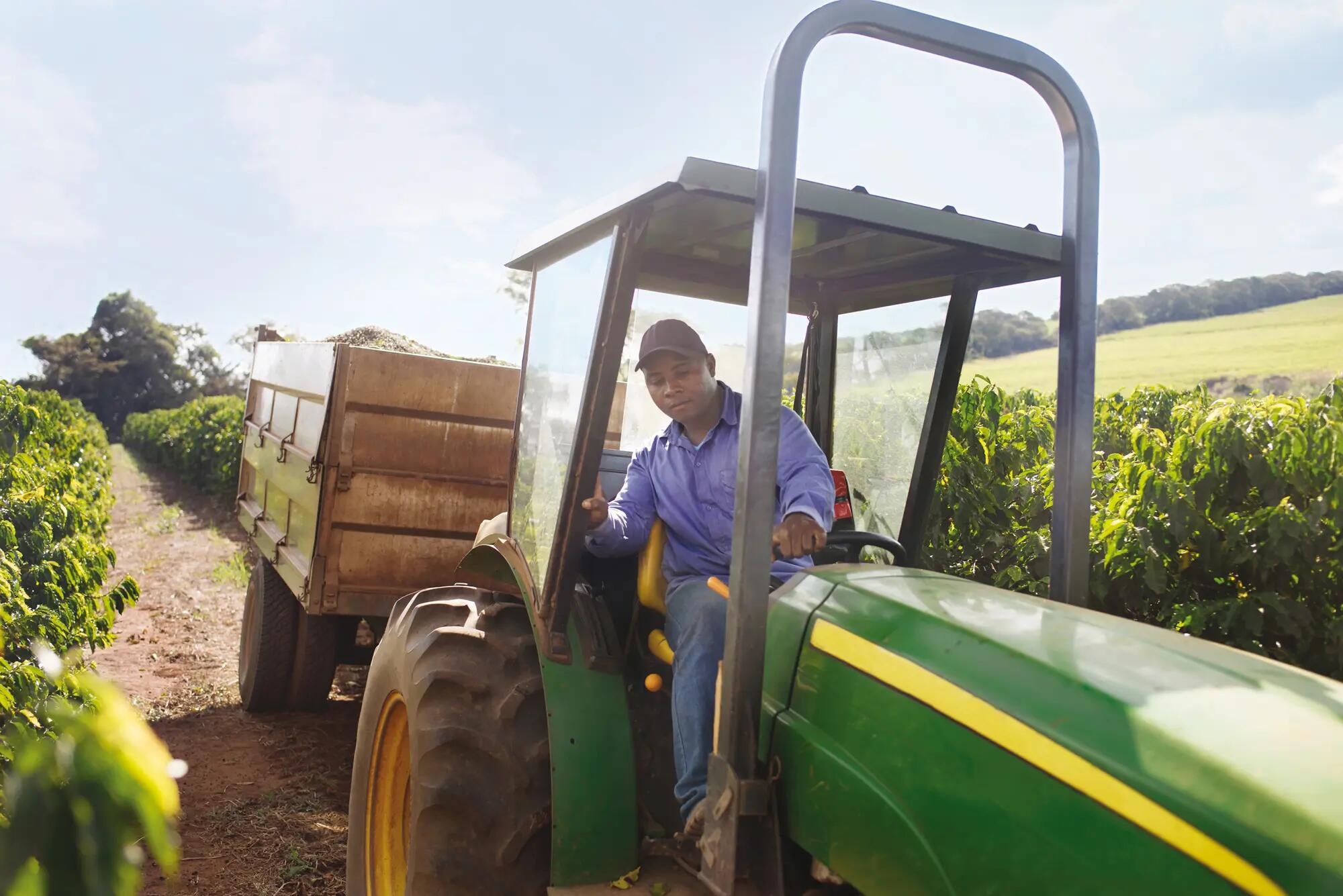 Tractor in a coffee plantation